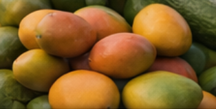 Sweet Fresh Mangoes - Export Quality
